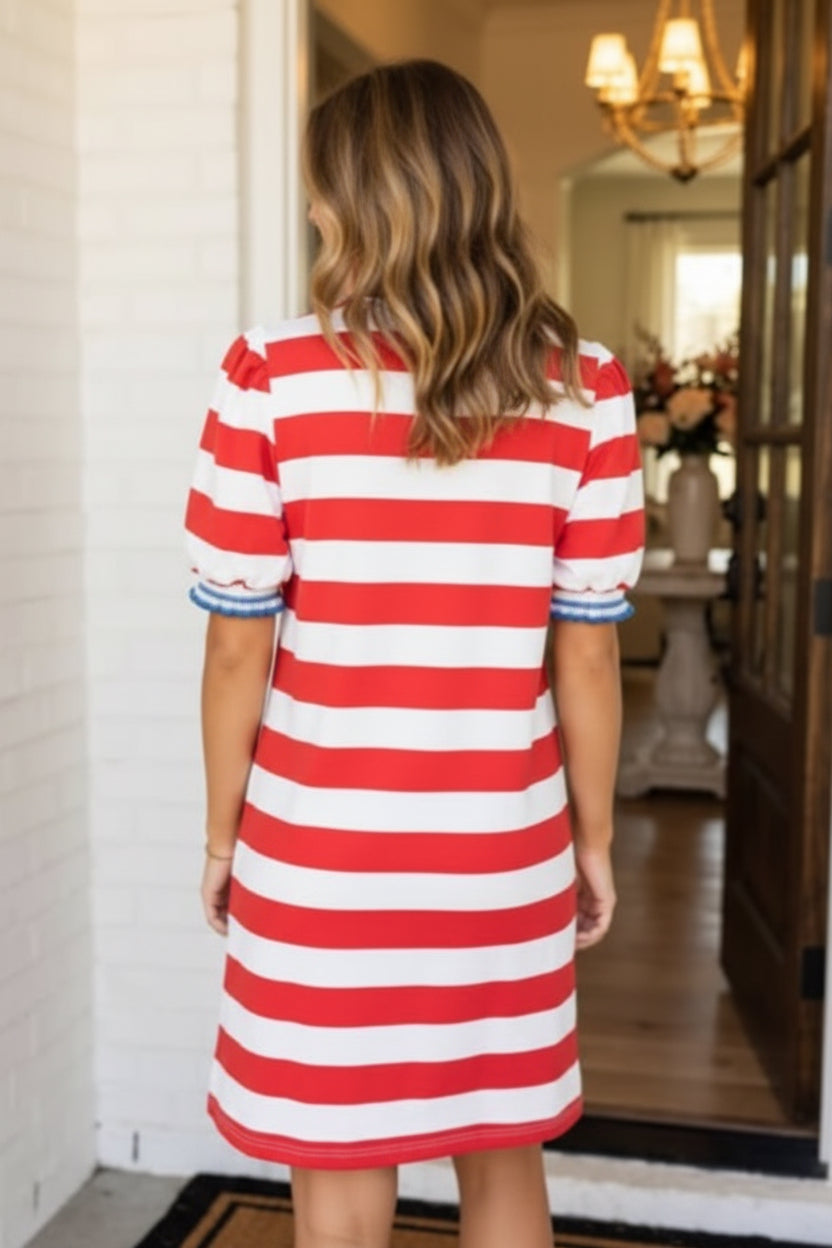 LA Society Stripe Contrast Trim Puff Sleeve Shift Dress